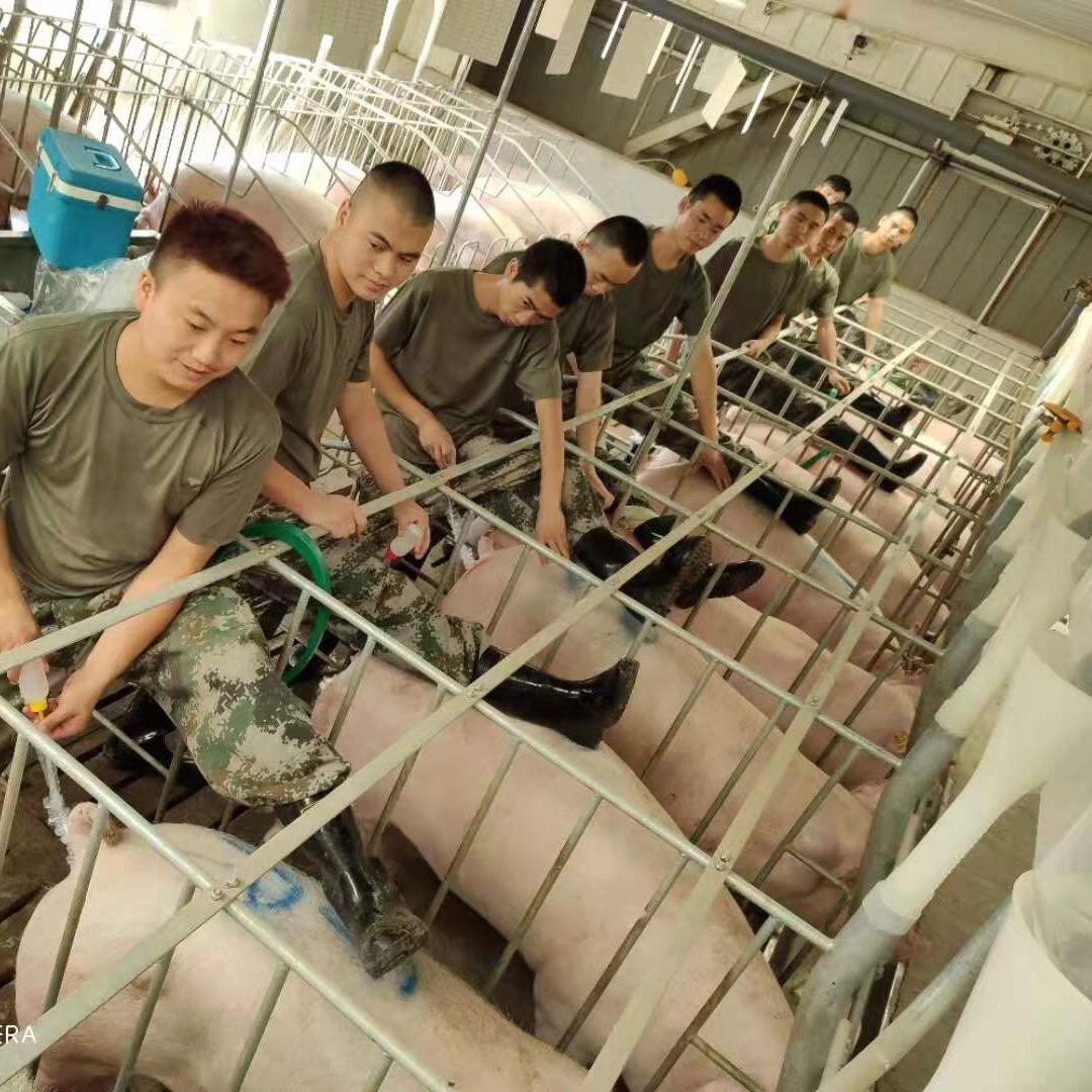 我命由我不由天