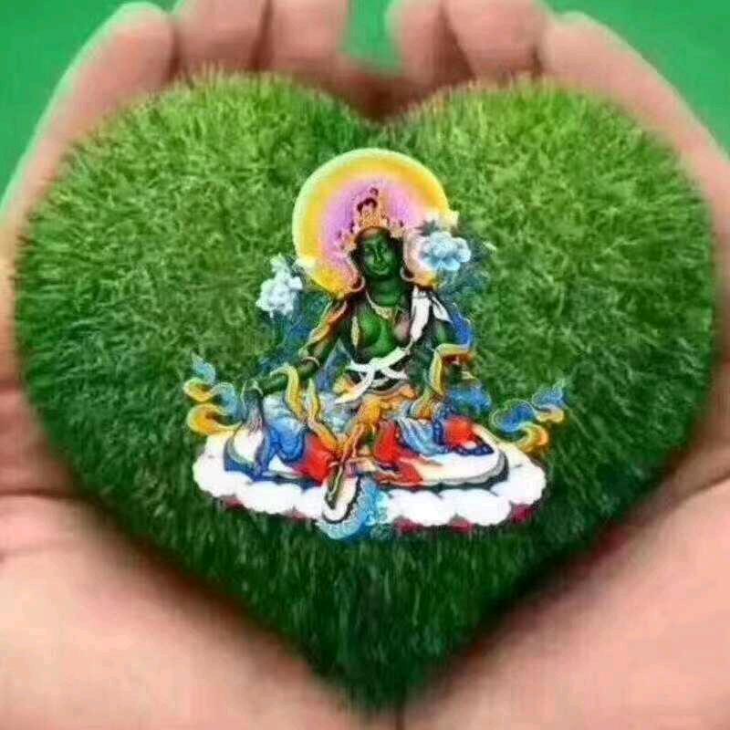 次珍啦🙎🙎🙎.