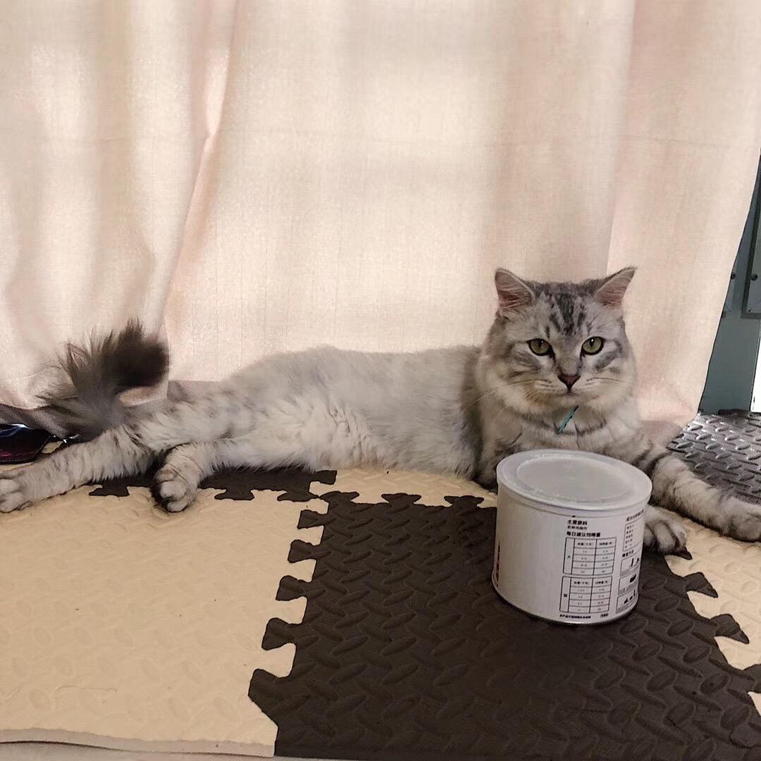 随性