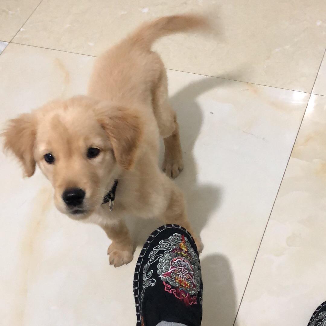 旧巷纸伞无故人