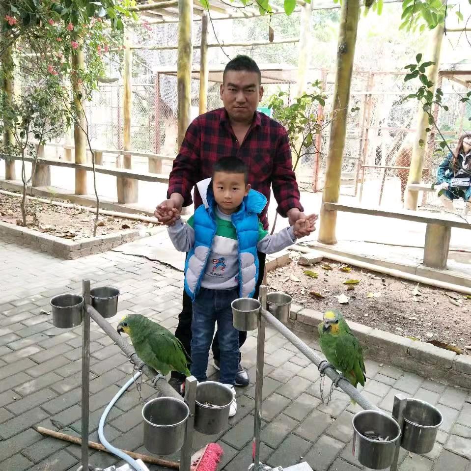 老军。