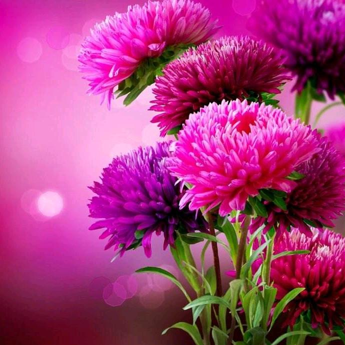 爱笑不一定快乐