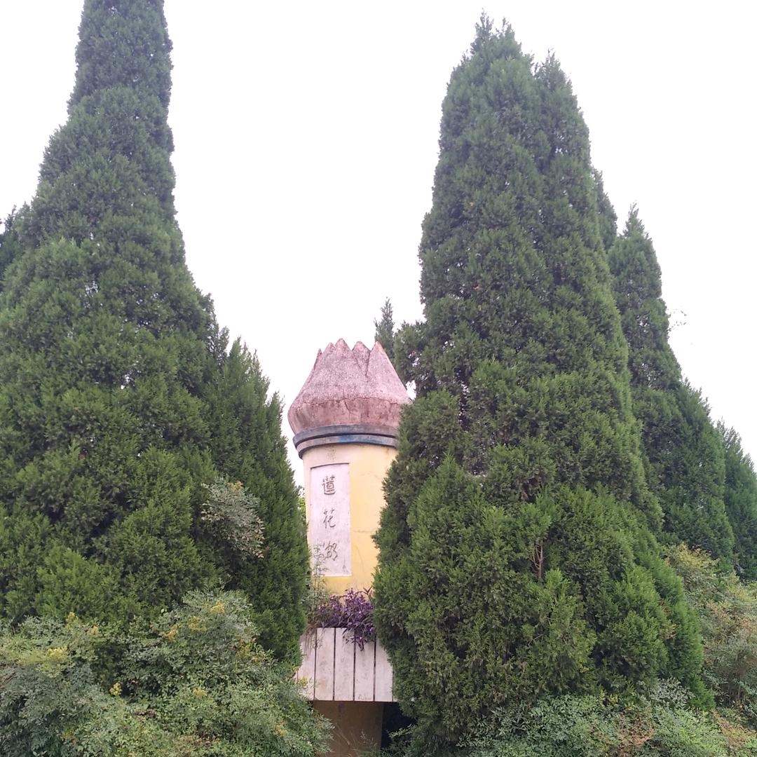 墨希宇