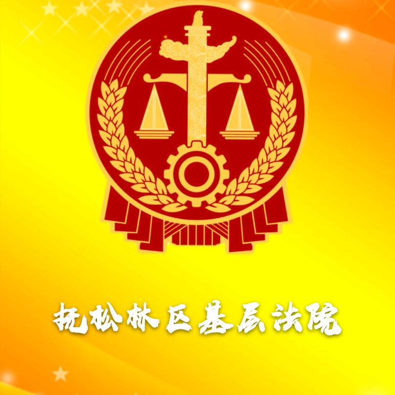 抚松林区基层法院