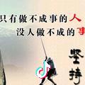 葵