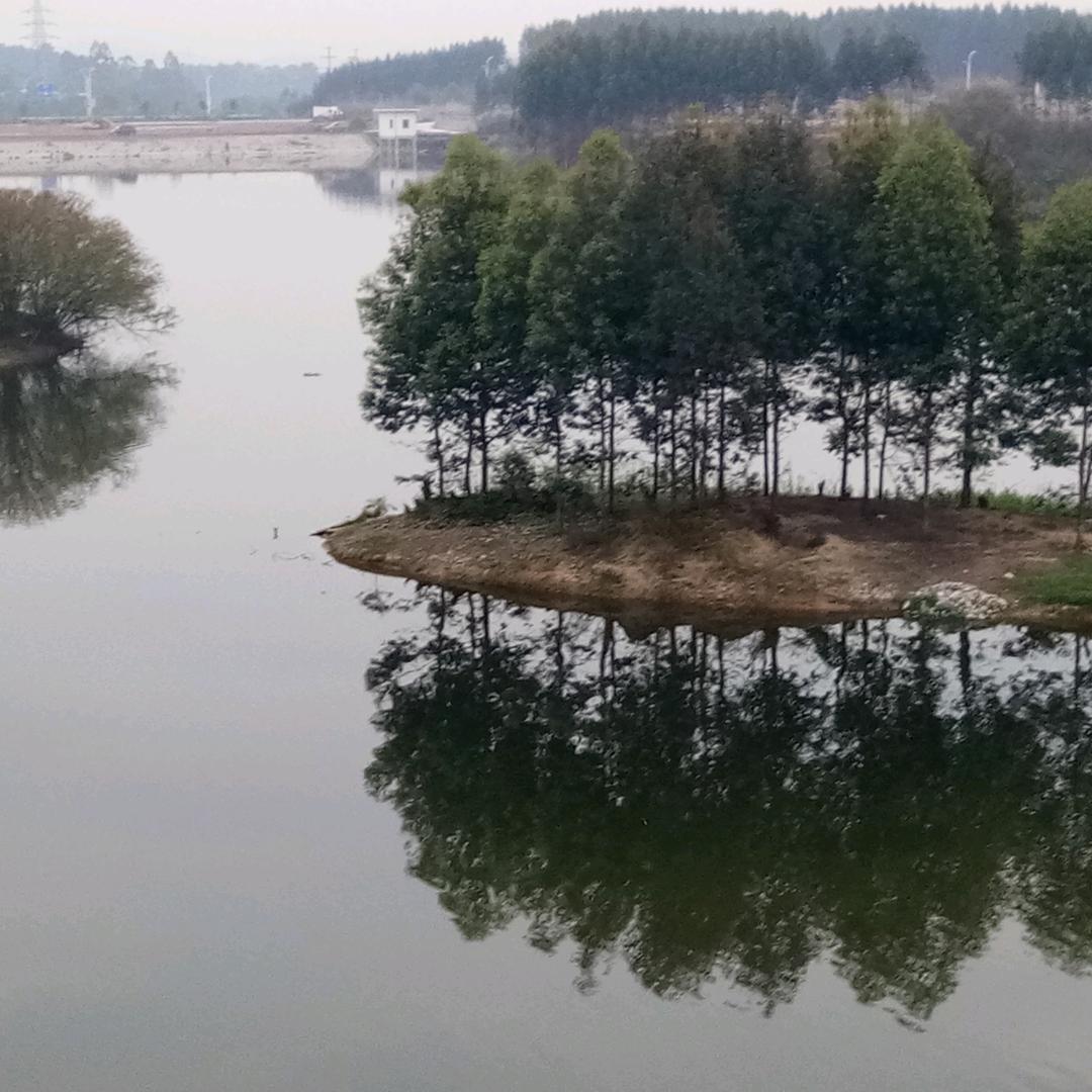 寻找未来