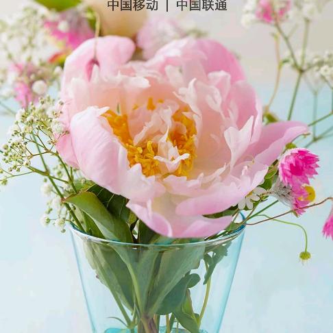 心如止境