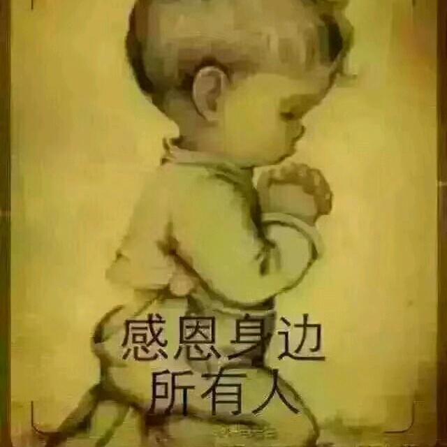 用户5955142685900南方燕