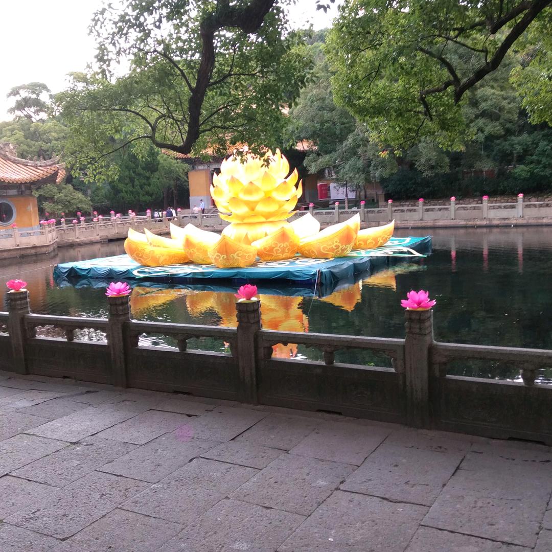 六个宝宝的奶奶