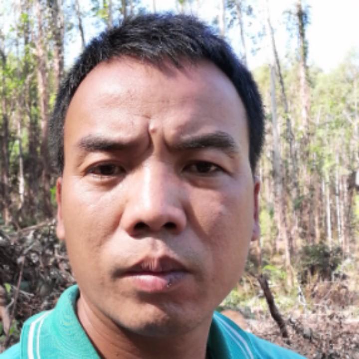 爱喝茶的伐木工