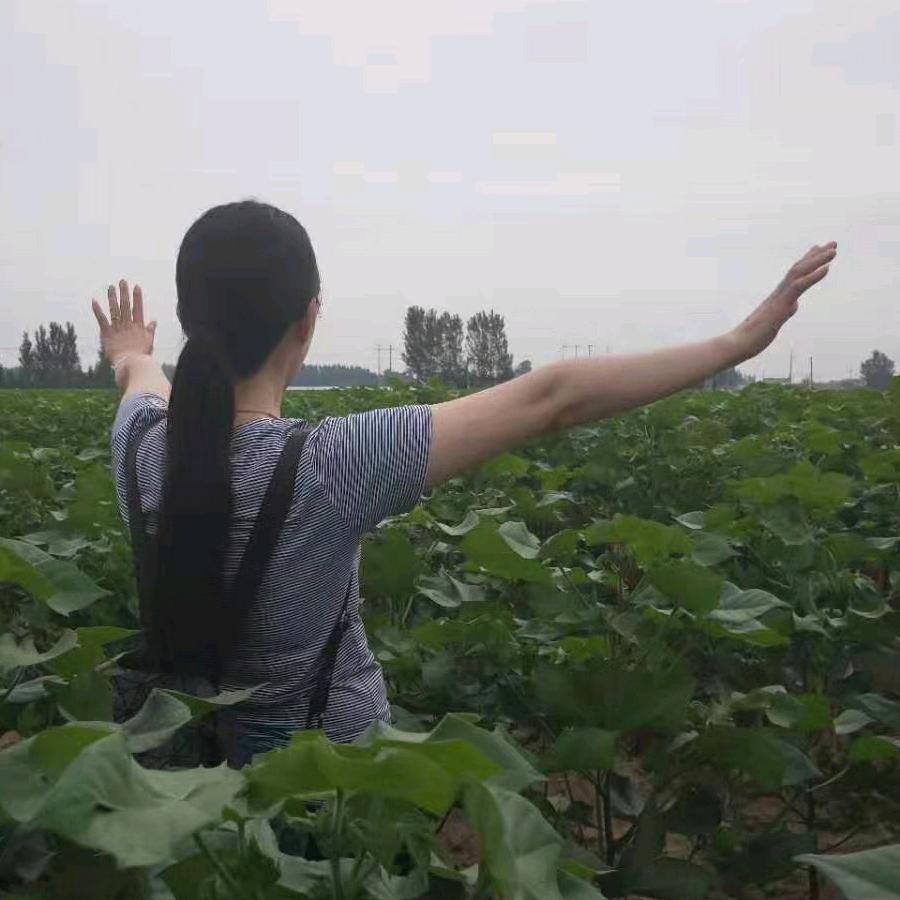 沧州婚庆床品学生被国欣纯棉