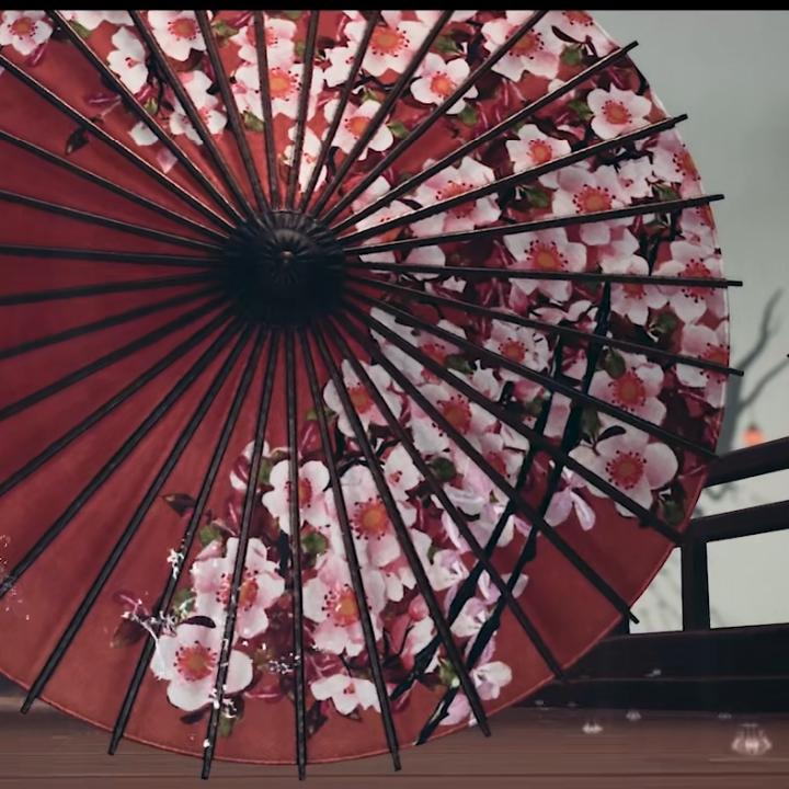 坤坤