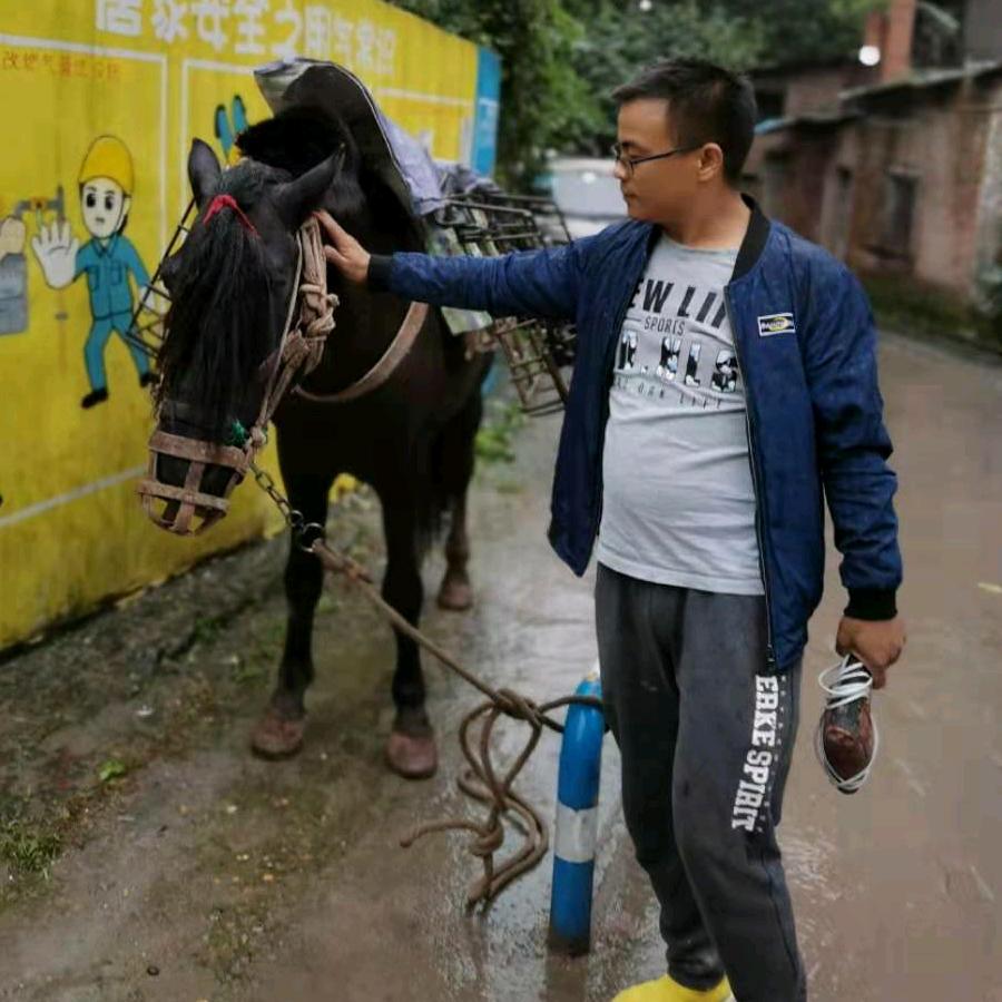 灯徒浪子