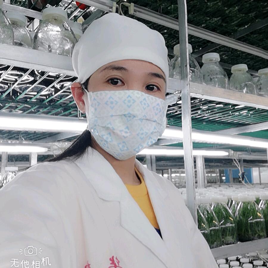 福建百秾•兰花种苗🌸🌸