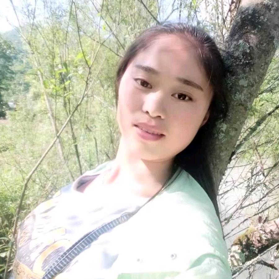 野生天麻（龚艳芳）