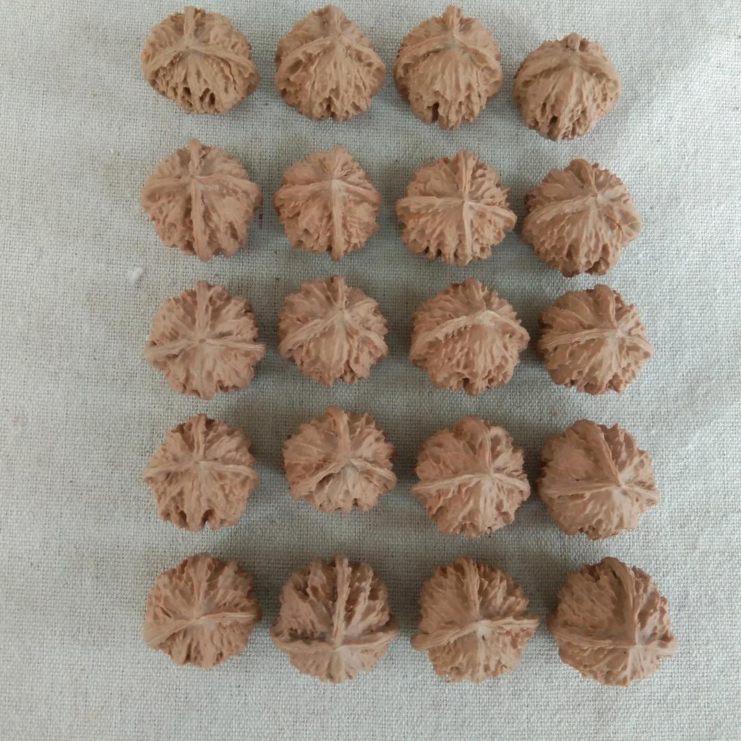 内丘文玩核桃(野生小核桃)
