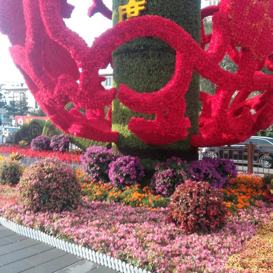 缺一个温暖的家而懂你