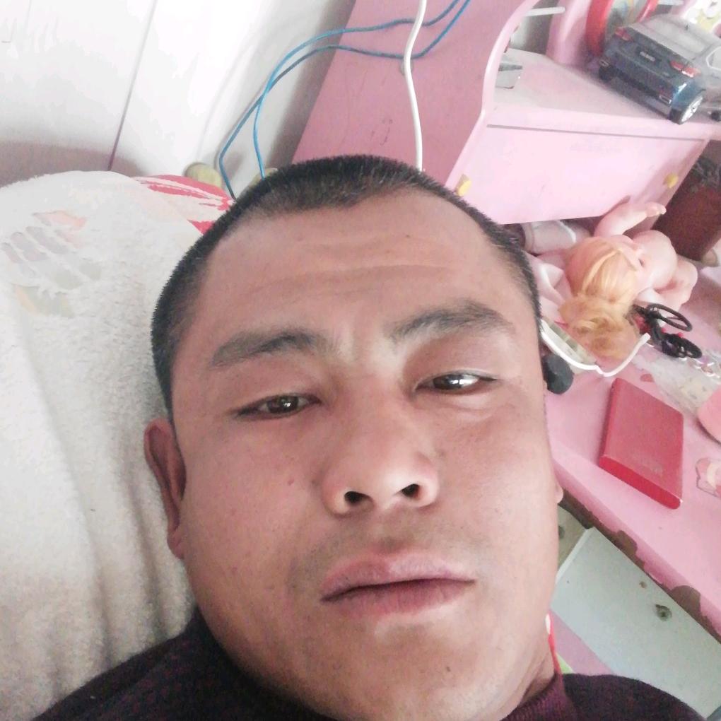铭杨天下