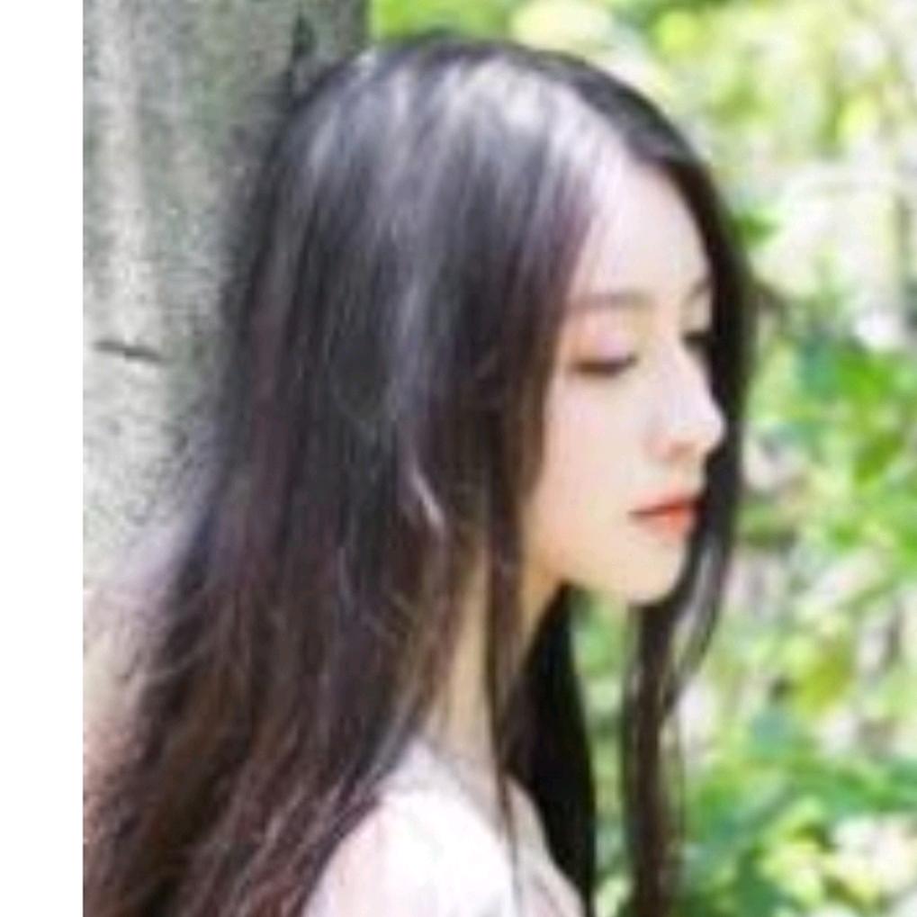 玄鸟1319