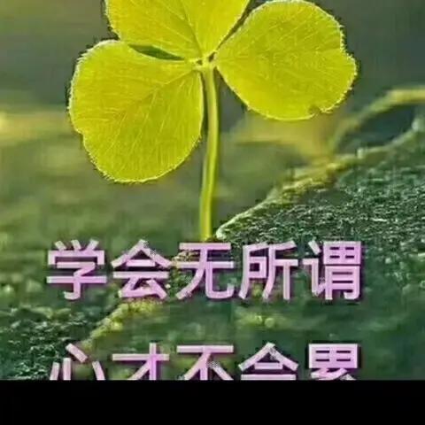 🌴🌹🎊往事随风🤝