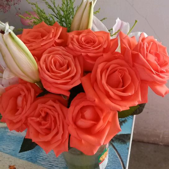 🍀相逢已成陌路🌸🐾🐾