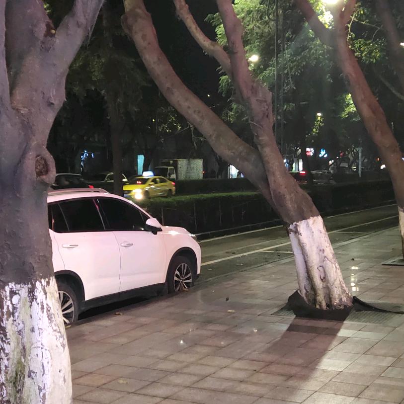 老沈