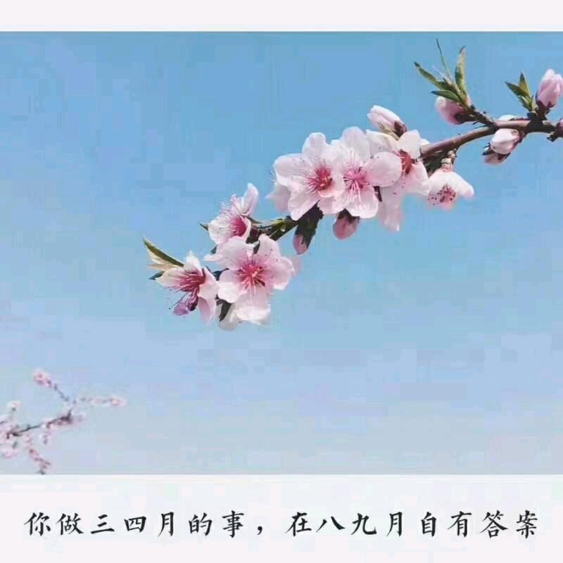 星期二