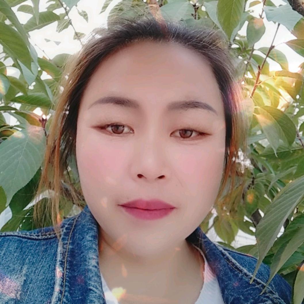 河南赵姐