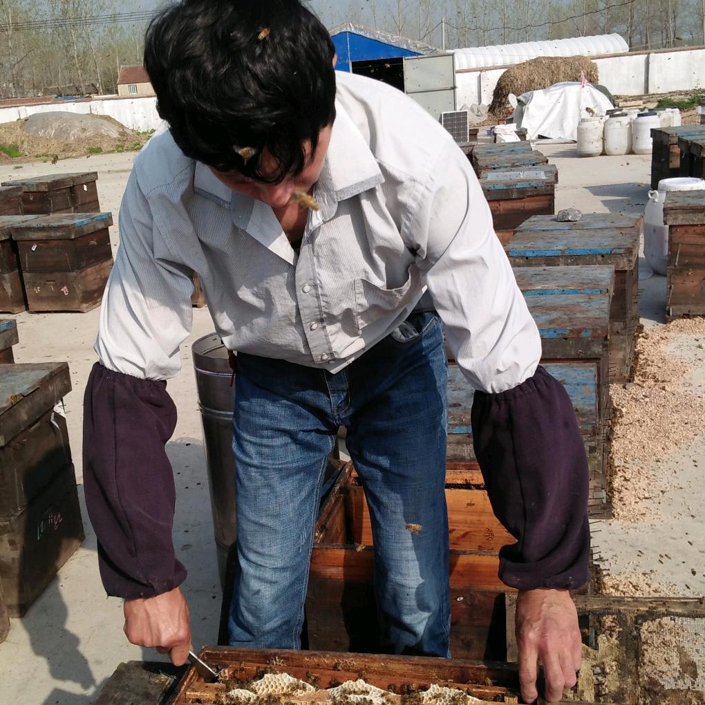 金华市婺城区徐小建蜜蜂家庭农场