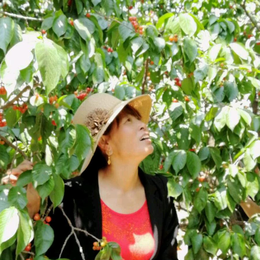 平凡幸福的劳动者