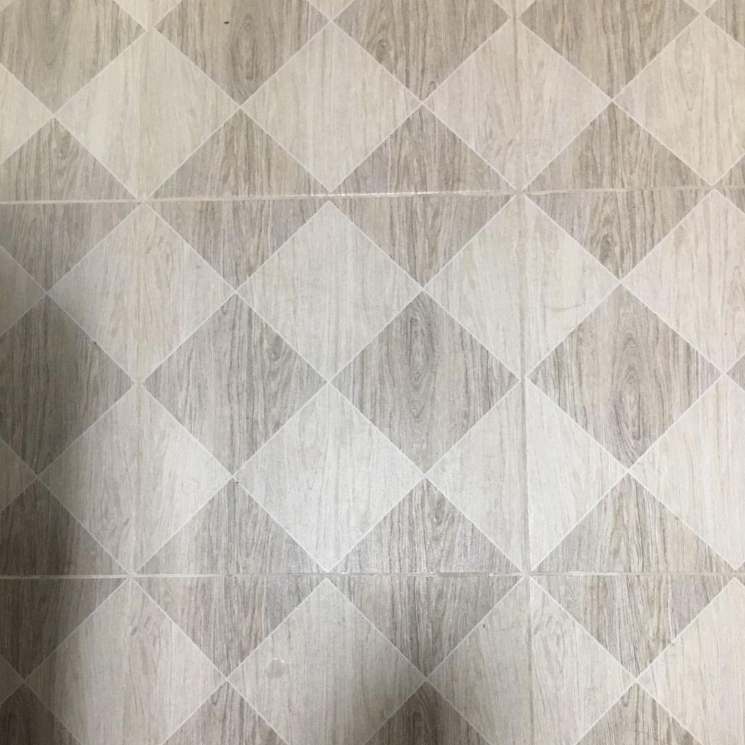 笨笨888