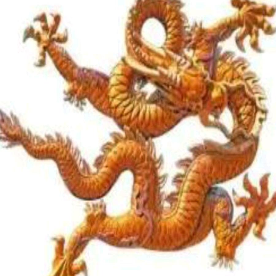 腾龙