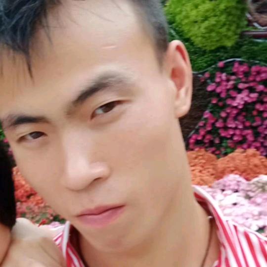 过去式丶无需回头