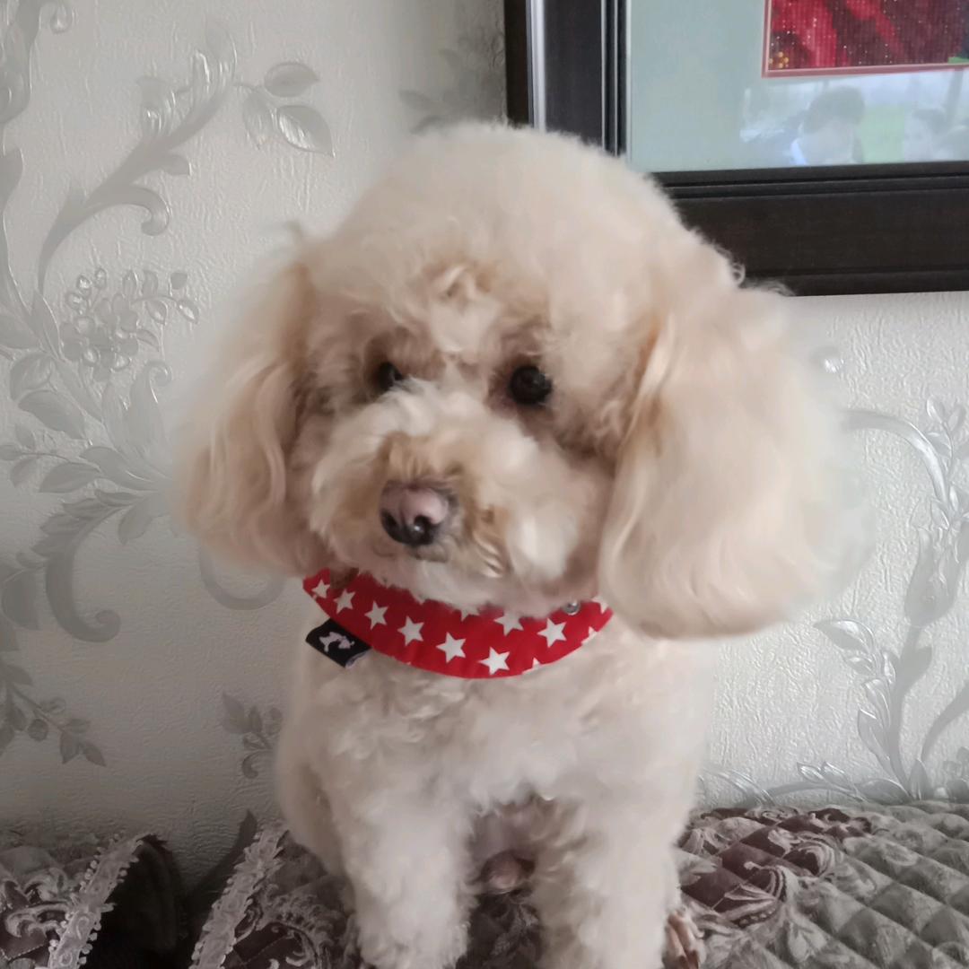 陈云