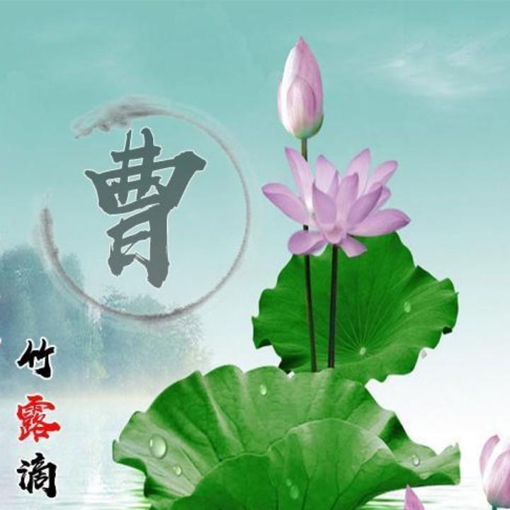 文鹏