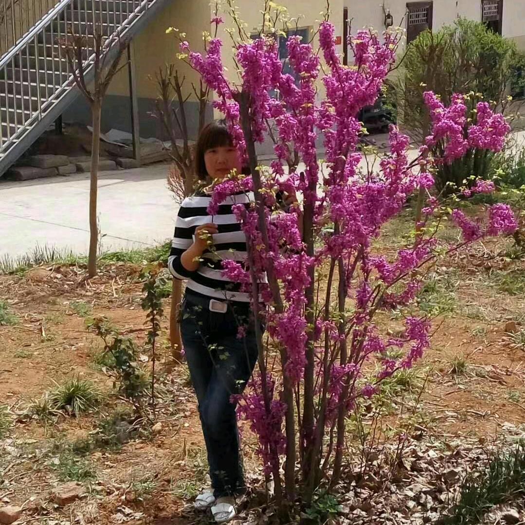 阳光穿透一切