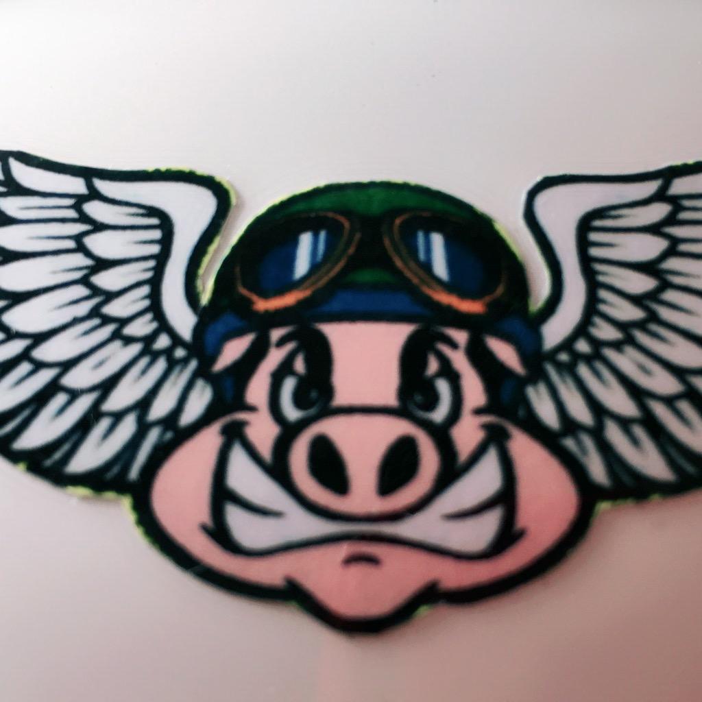 🐷飞天小神猪🐷