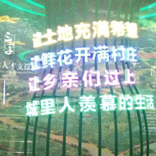 李杨无花果农场