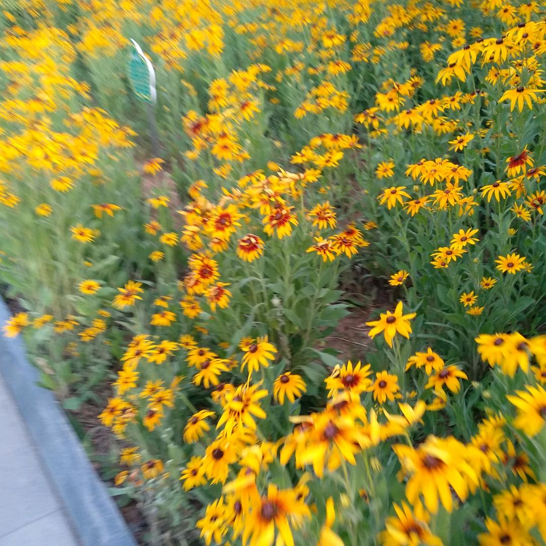 平安健康就是福