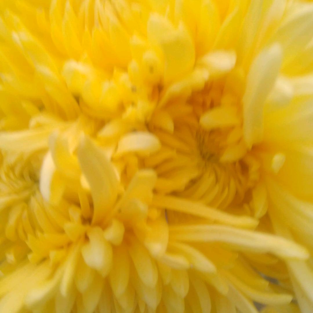 王勇（旭豪）大酒店