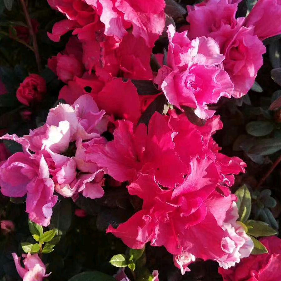 你会爱我到什么时候