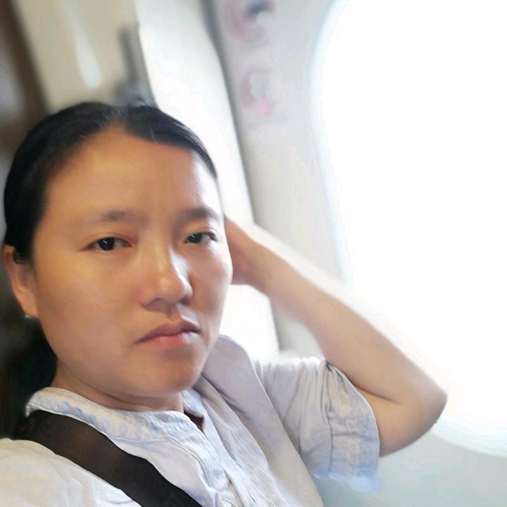 燕子飞a