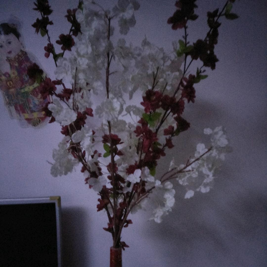 郑