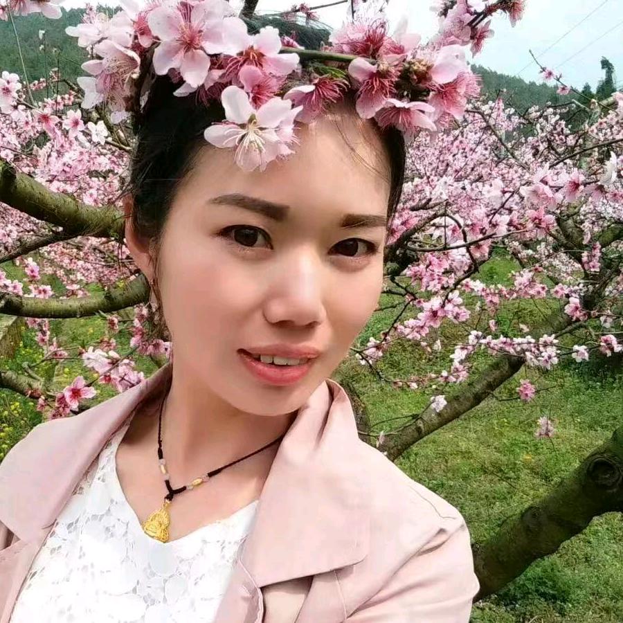 Zj三小姐