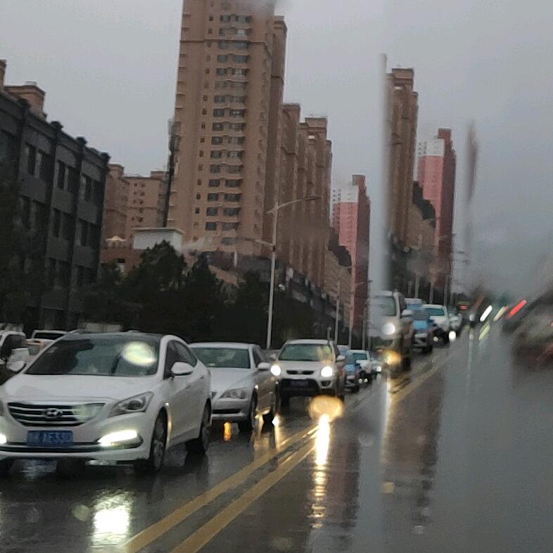 张家女孩👧🏻