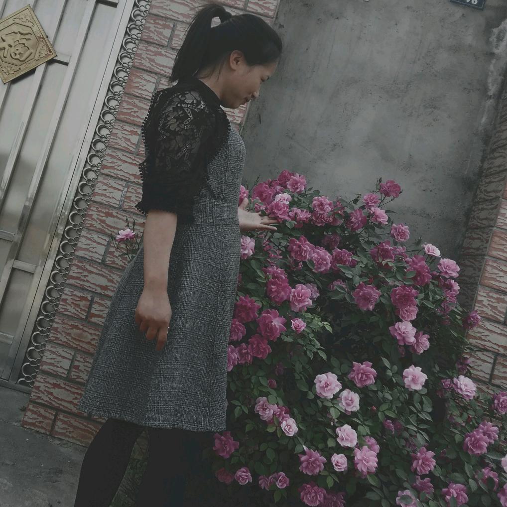 雨中百合