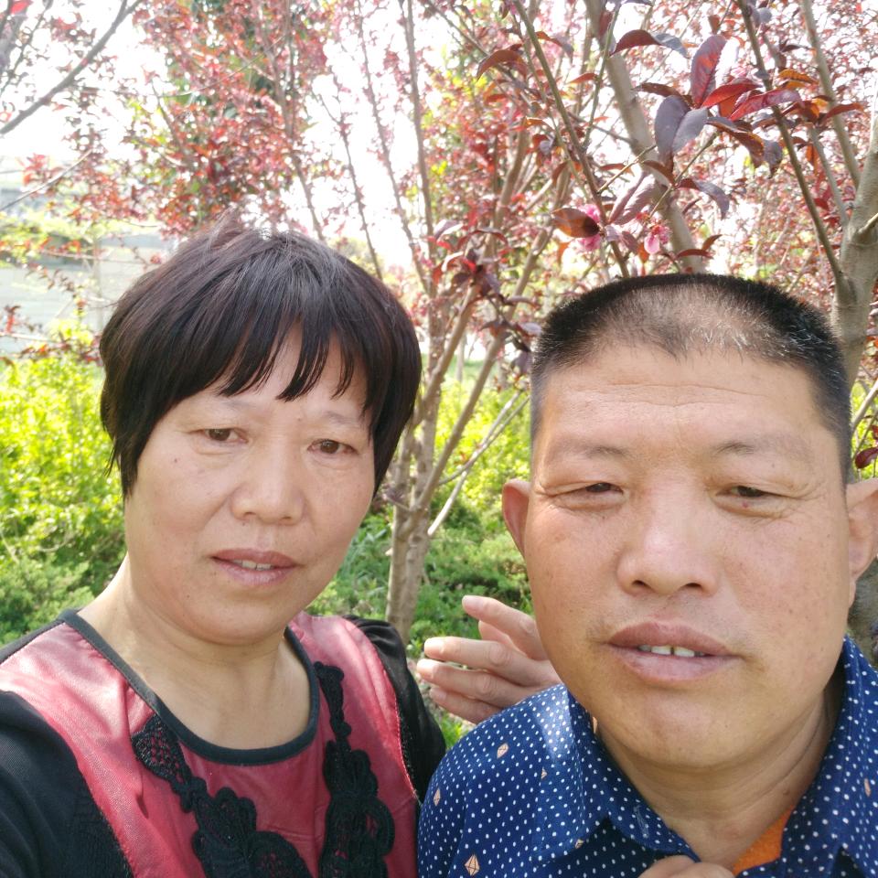 浪迹天涯
