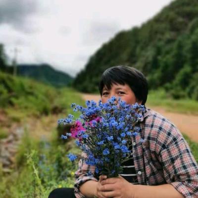 云南中药