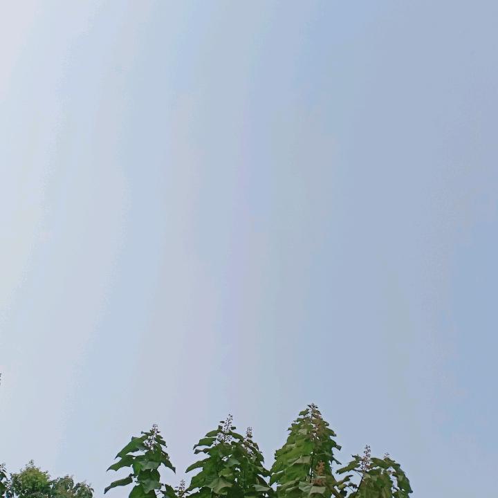 皇甫