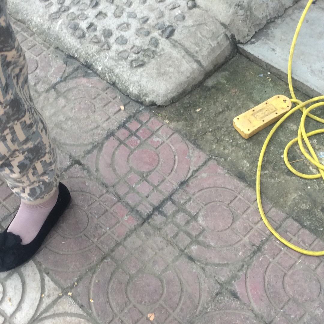 杨随有